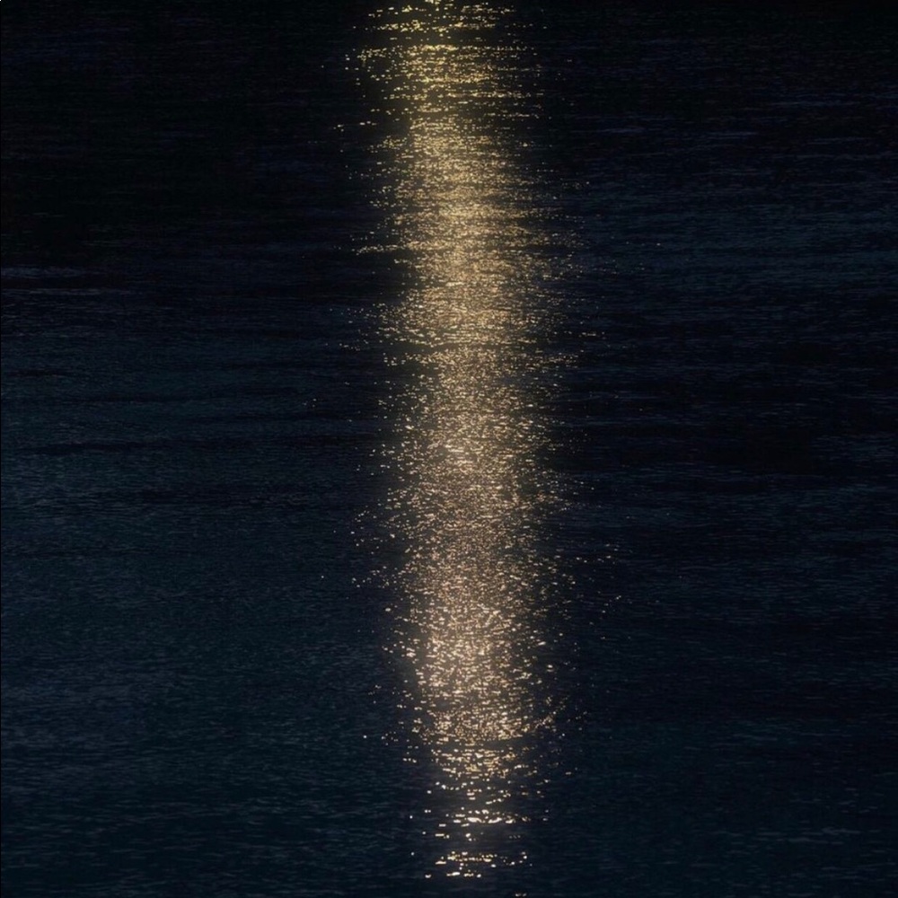 Absolutely priceless!